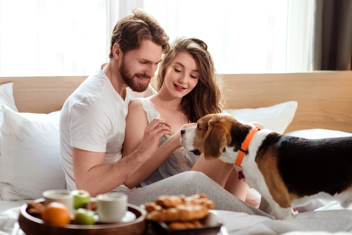 Coppia con cane fa colazione a letto in un hotel pet friendly